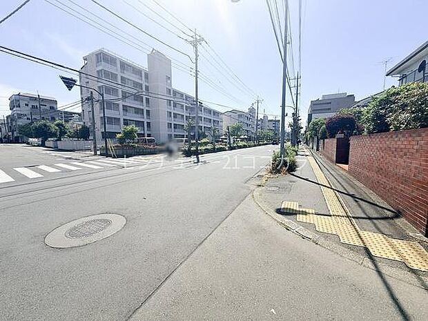 2026年5月11日撮影