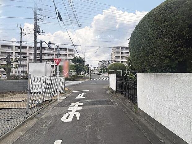 2026年6月4日撮影