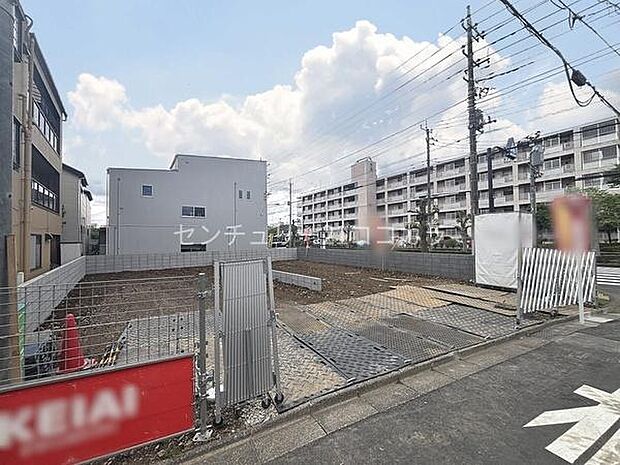 2026年6月4日撮影　全体写真