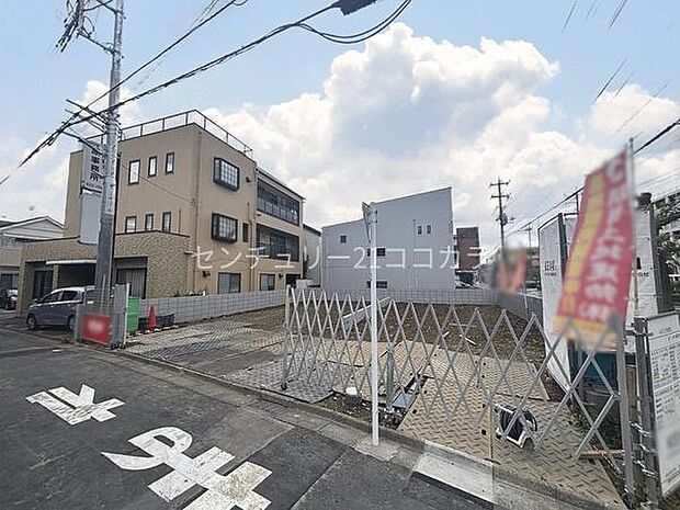 2026年6月4日撮影　全体写真