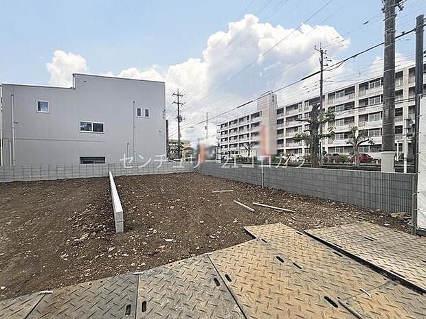 2026年6月4日撮影