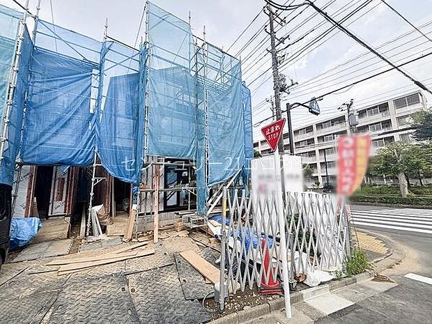 2026年7月23日撮影