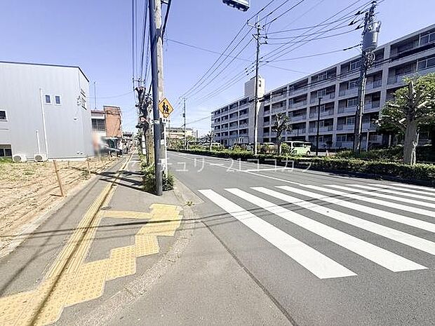 2026年5月11日撮影