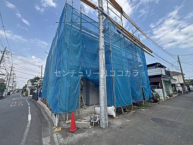 2026年7月24日撮影