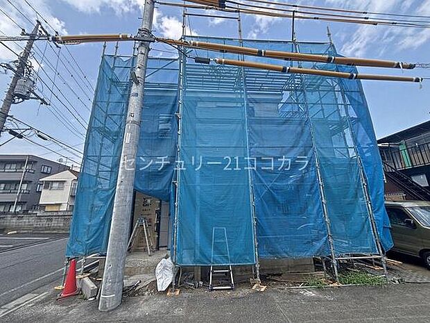 2026年7月24日撮影