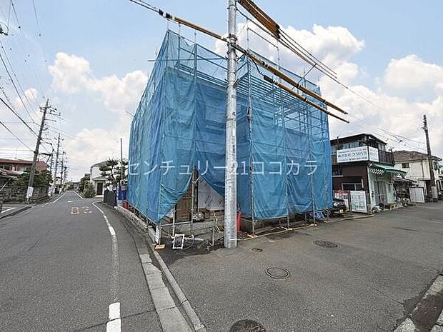 2026年7月3日撮影