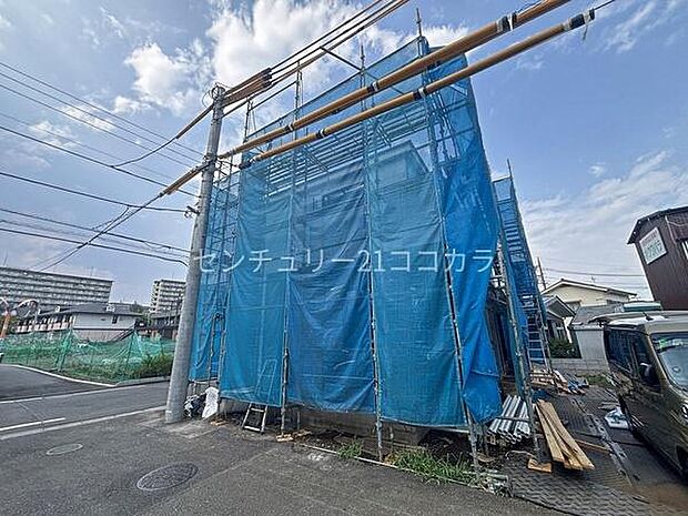 2026年7月24日撮影