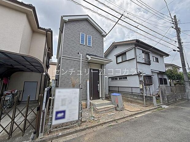 2026年7月24日撮影