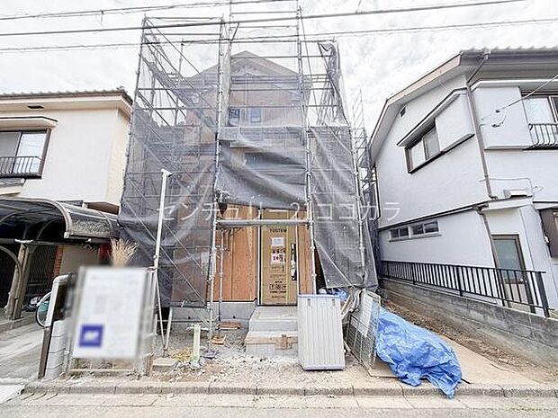 2026年5月31日撮影