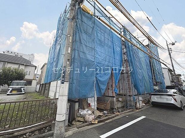 2026年7月3日撮影