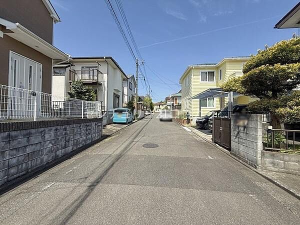 前面道路を含む現地写真