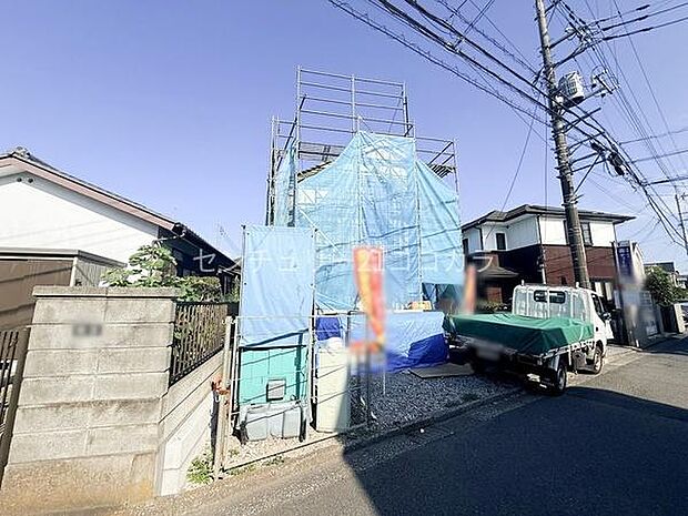 2026年7月20日撮影