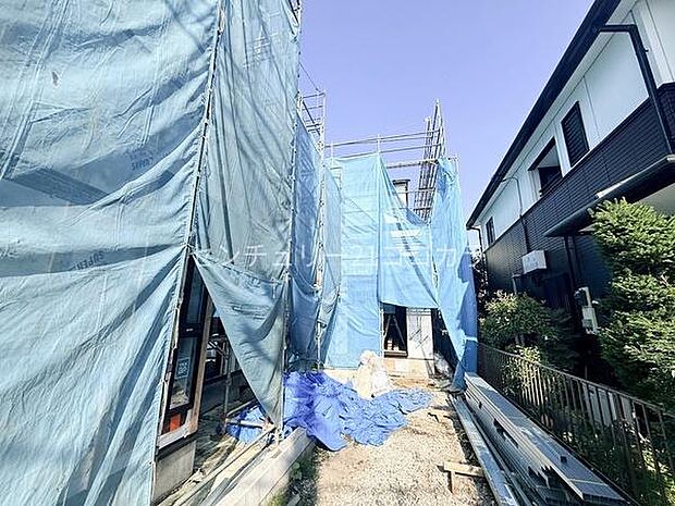 2026年7月20日撮影