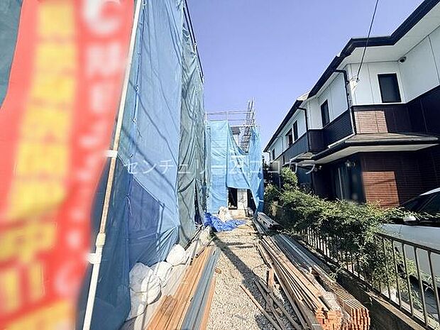 2026年7月20日撮影