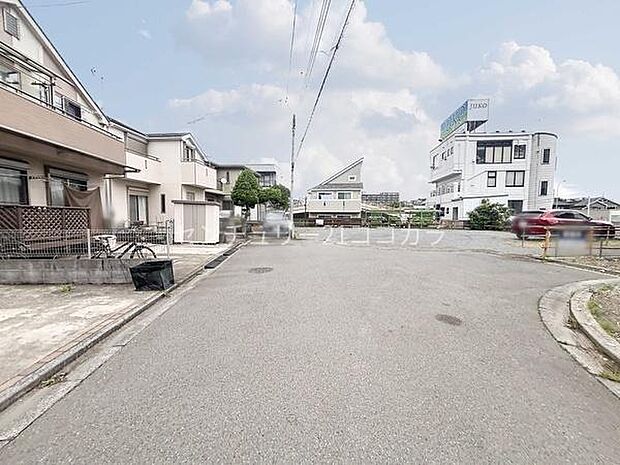 2026年6月4日撮影
