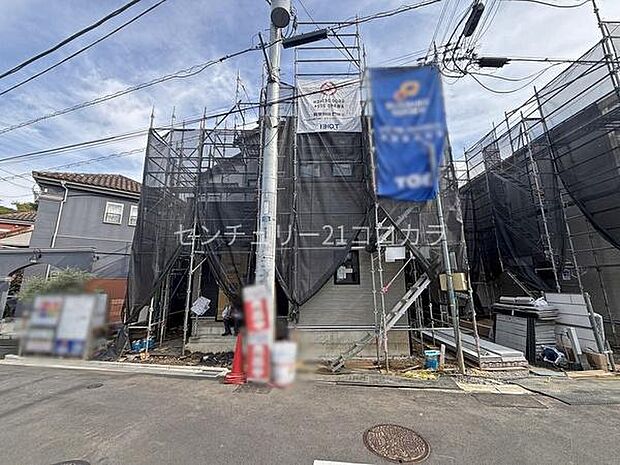 2026年9月25日撮影
