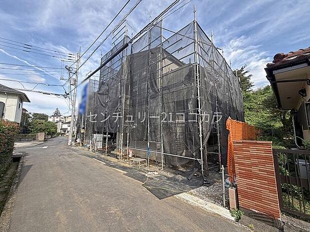 2026年9月25日撮影