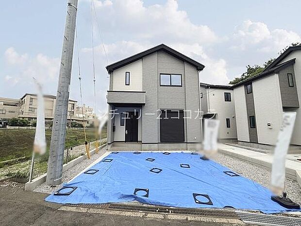 2026年6月5日撮影