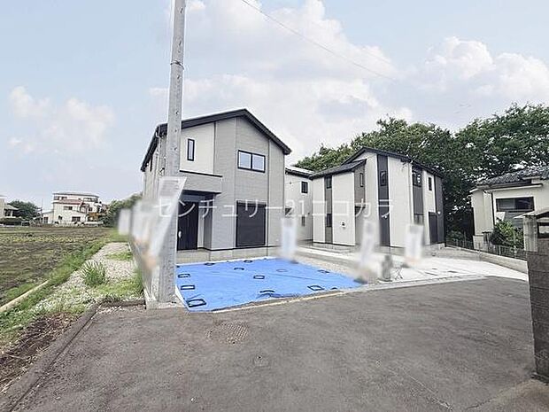 2026年6月5日撮影　全体写真