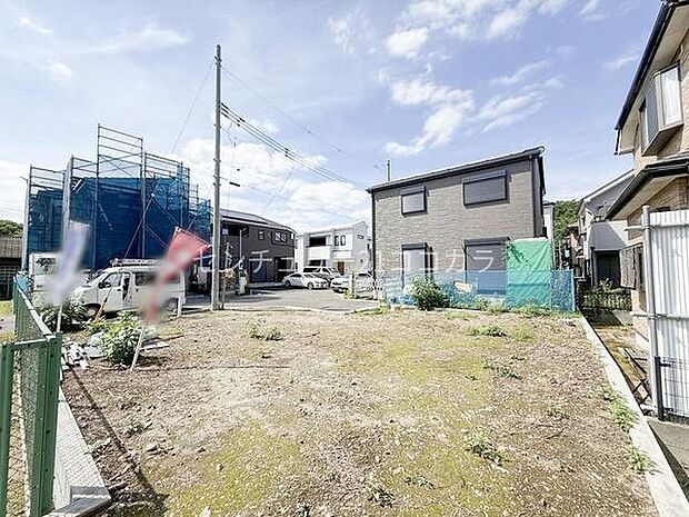 2026年6月7日撮影