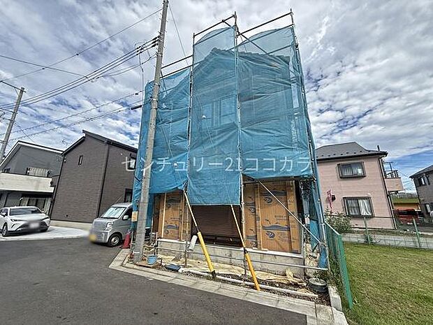 2026年9月15日撮影