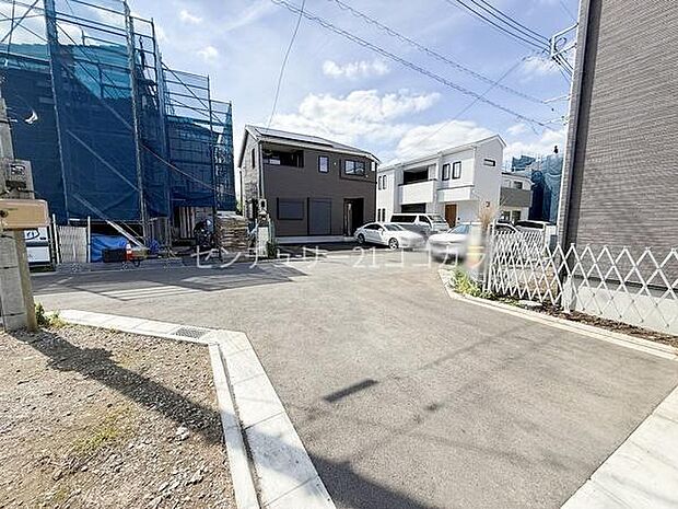 2026年6月7日撮影