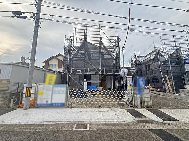 2026年9月25日撮影