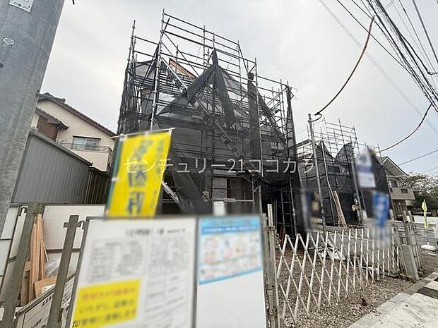 2026年9月25日撮影