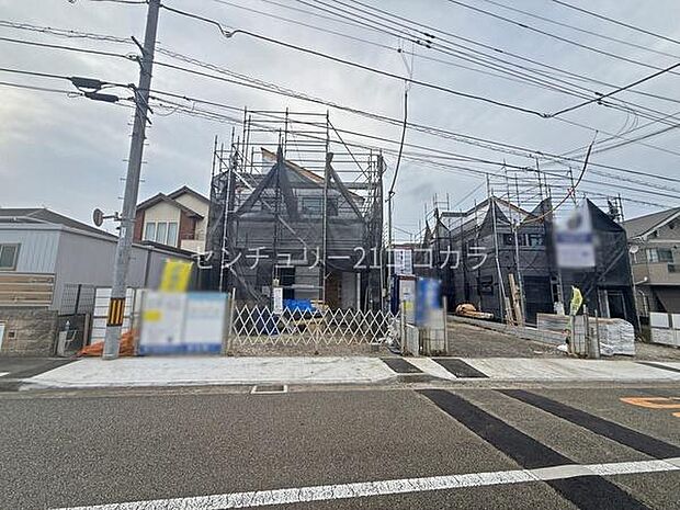 2026年9月25日撮影