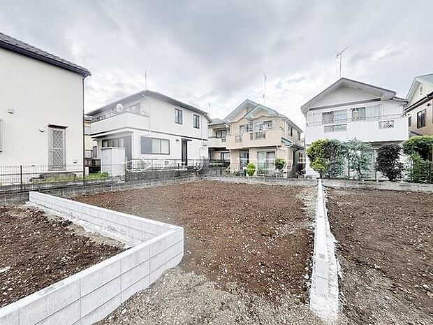2026年6月29日撮影