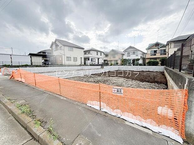 2026年6月29日撮影