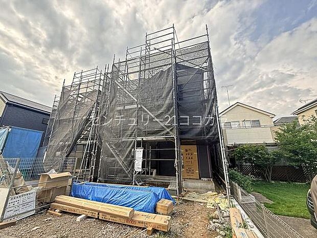 2026年7月31日撮影