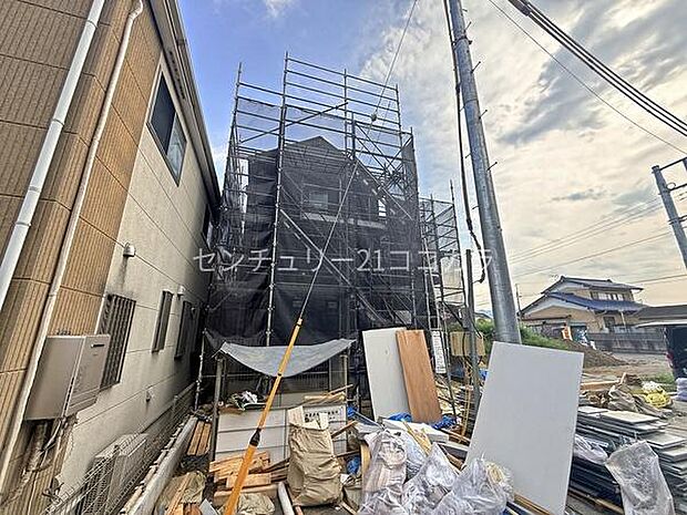 2026年7月31日撮影