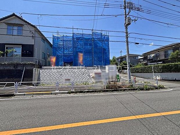 2026年7月10日撮影