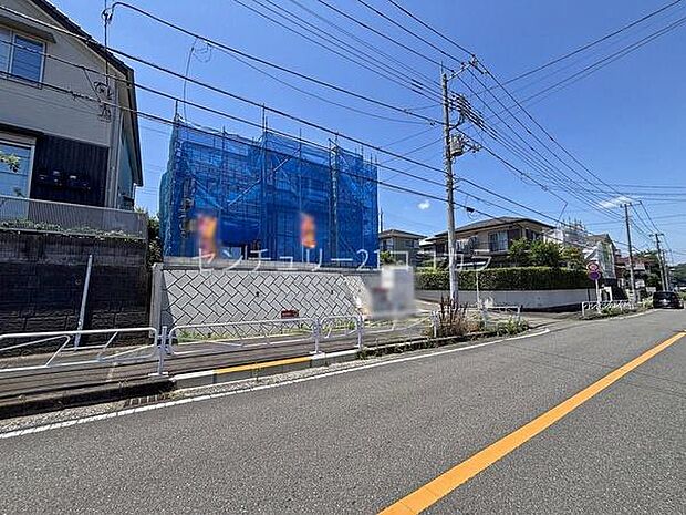 2026年7月10日撮影