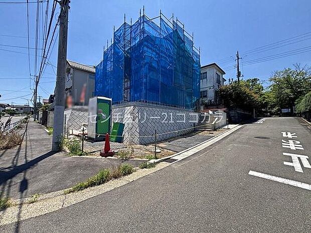 2026年7月10日撮影