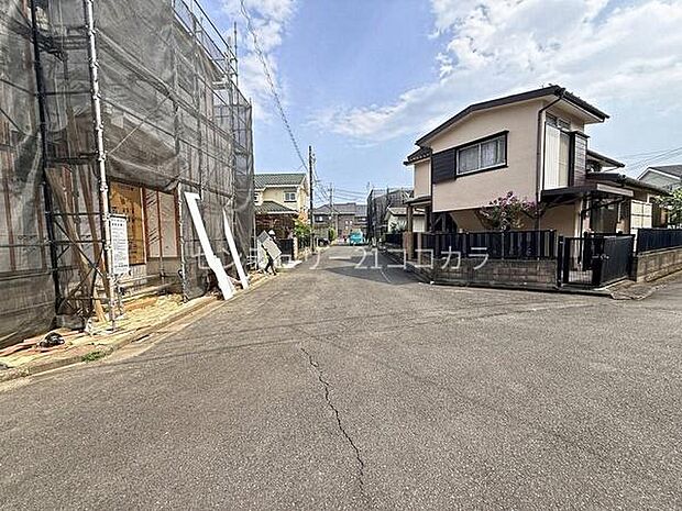 2026年7月24日撮影
