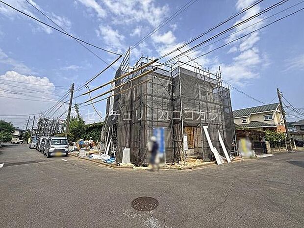 2026年7月24日撮影