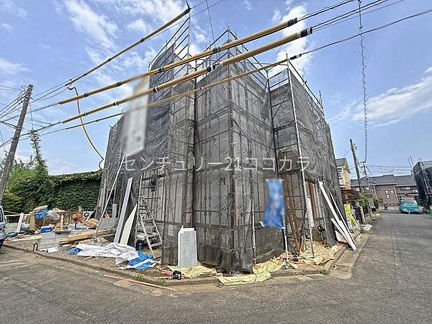 2026年7月24日撮影