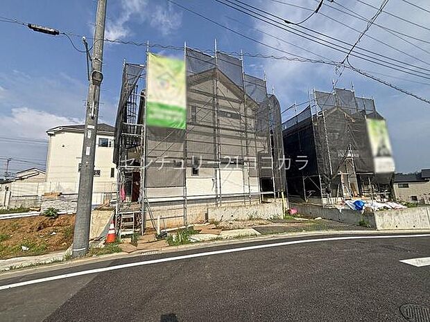 2026年7月24日撮影