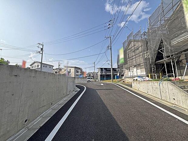 2026年7月24日撮影