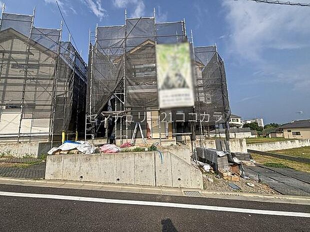 2026年7月24日撮影