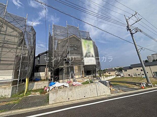 2026年7月24日撮影