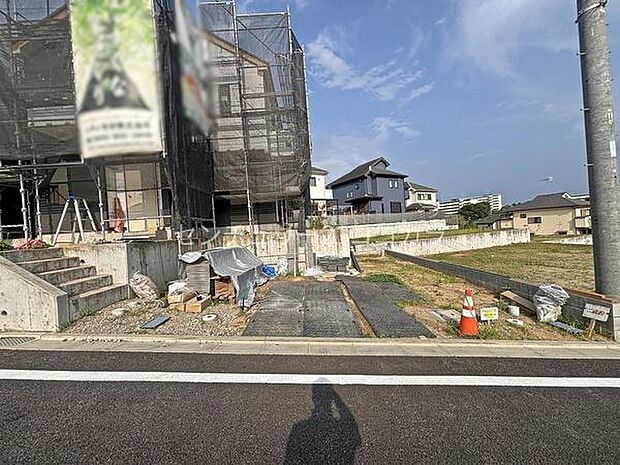 2026年7月24日撮影