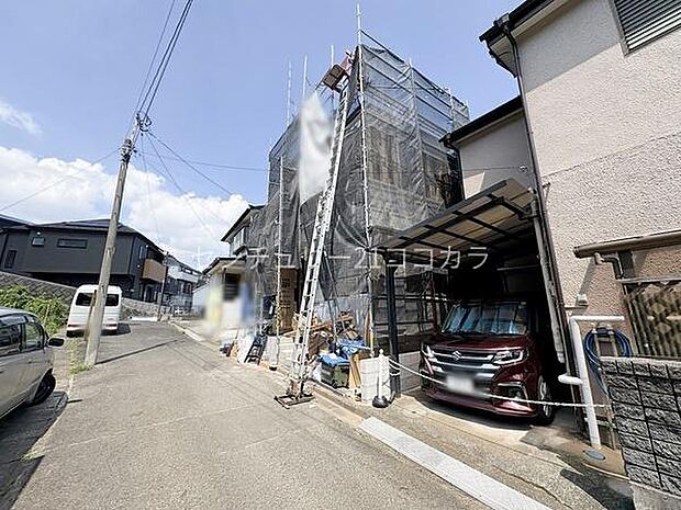 2026年7月20日撮影