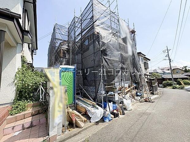 2026年7月20日撮影