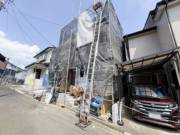 2026年7月20日撮影