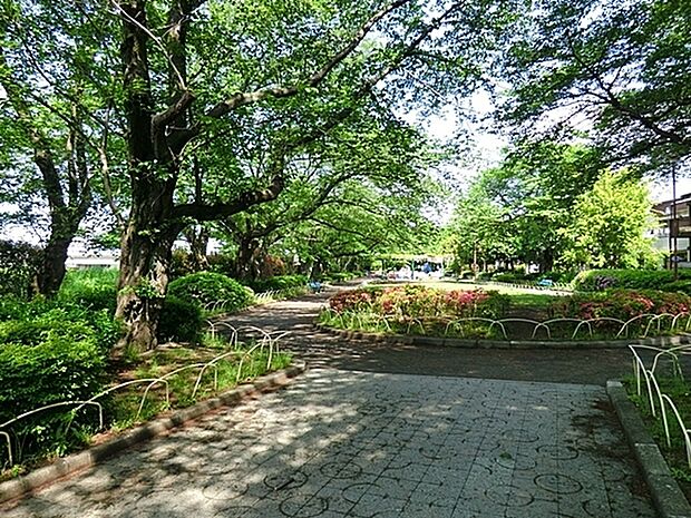 元横山公園まで850m