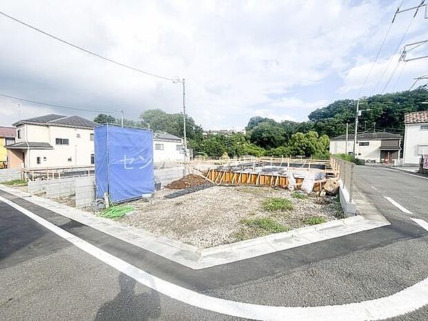 2026年6月29日撮影