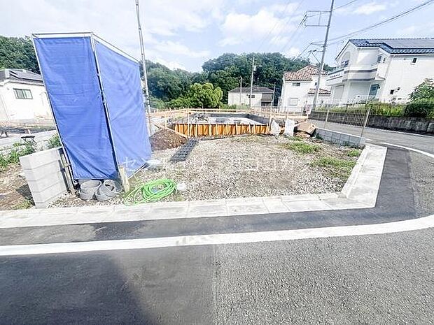 2026年6月29日撮影